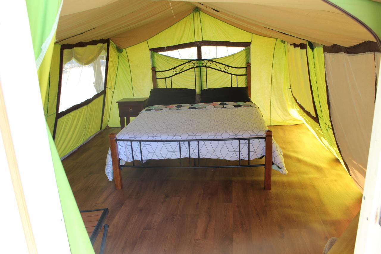 Forrest Wonky Stables Holiday Park المظهر الخارجي الصورة
