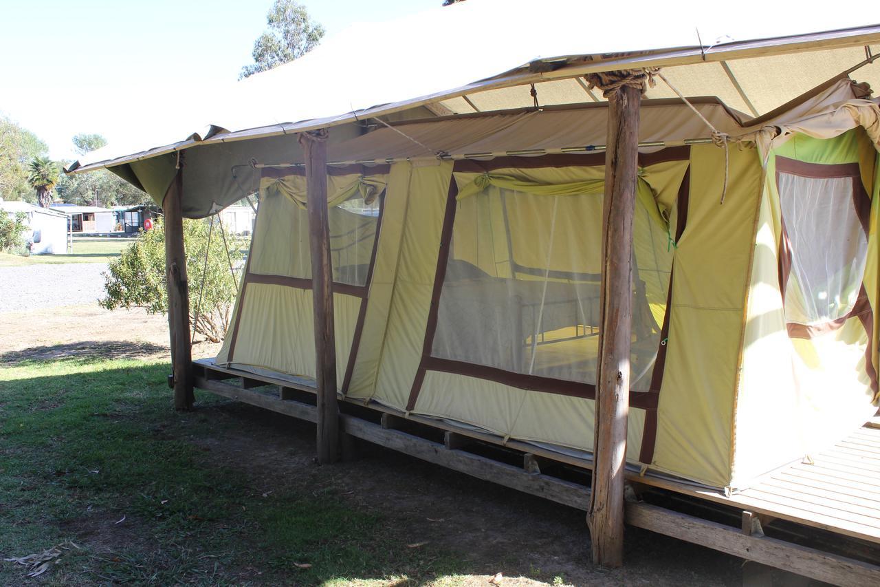 Forrest Wonky Stables Holiday Park المظهر الخارجي الصورة