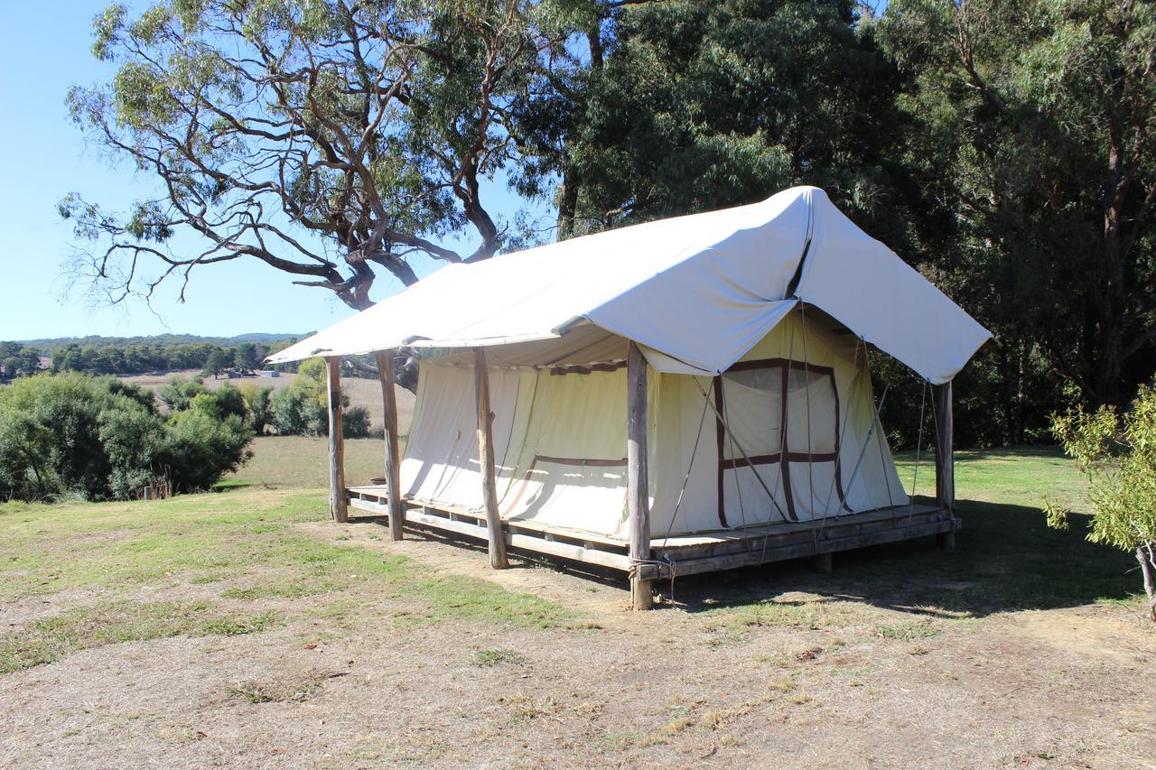 Forrest Wonky Stables Holiday Park المظهر الخارجي الصورة